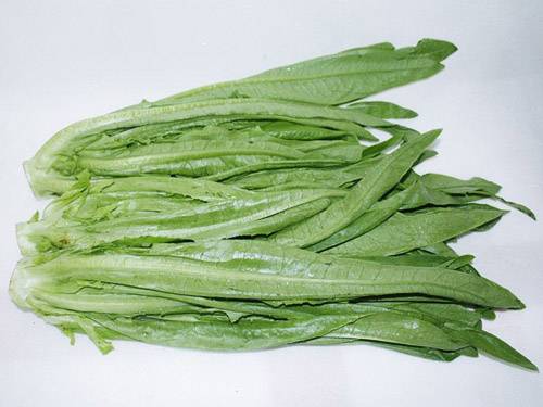 油麦菜配送
